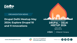 Drupal Delhi Meetup May 2024: Explore Drupal 10 and 11 Innovations