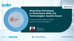 Mounting /Himalayas to /Enterprise Web: Gai Technologies' Ascetic Route