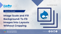 Image Scale and Fill Background: To Fit Images into Layouts Without Cropping