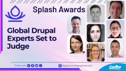 Splash Awards 2024 Jury Announced: Global Drupal Experts Set to Judge