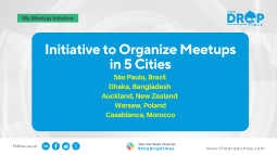 DrupalCollab: Initiative to Organize Meetups in 5 Cities