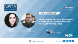Marine Gandy and Joris Vercammen Elected as NEDA Representatives to Drupal Working Group