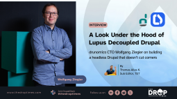 A Look Under the Hood of Lupus Decoupled Drupal