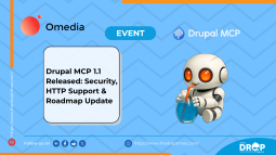 Drupal MCP 1.1 Released: Security, HTTP Support & Roadmap Update