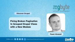 Fixing Broken Pagination in Grouped Drupal Views with a New Module