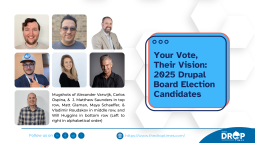 Your Vote, Their Vision: 2025 Drupal Board Election Candidates