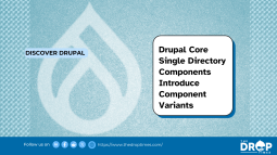 Drupal Core Single Directory Components Introduce Component Variants
