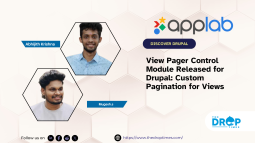 View Pager Control Module Released for Drupal: Custom Pagination for Views