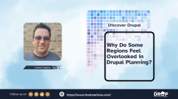 Why Do Some Regions Feel Overlooked in Drupal Planning?