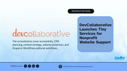 DevCollaborative Introduces Tiny Services for Nonprofit Website Consultations