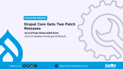Drupal 11.4.5 Fixes Views AJAX Error as Drupal 10.6.15 Also Ships