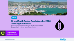 DrupalSouth Seeks Candidates for 2026 Steering Committee