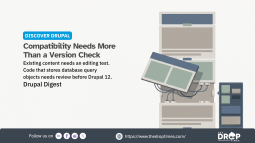 Paragraphs Bundles 2.0.1 Fixes Legacy Sections as Drupal 12 Drops Query Serialisation