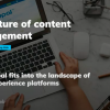 The future of content management