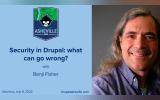 Security in Drupal: what can go wrong?