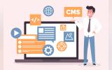 Illustration representing Custom Module Development for a Web CMS