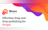 Mercury Editor