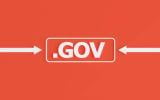 Government