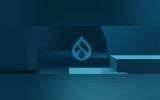 Drupal Initiatives Banner