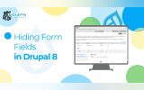 Hiding Form Fields in Drupal 8