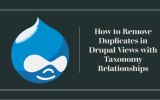 How to Remove Duplicates in Drupal Views with Taxonomy Relationships