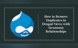 How to Remove Duplicates in Drupal Views with Taxonomy Relationships
