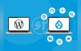 WordPress to Drupal Migration