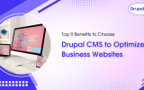 Top-9-Benefits-to-Choose-Drupal-CMS-to-Optimize-Business-Websites