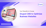 Top-9-Benefits-to-Choose-Drupal-CMS-to-Optimize-Business-Websites