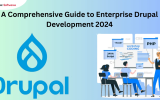 A Comprehensive Guide to Enterprise Drupal Development 2024