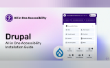 All in One Accessibility