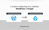 Wrodpress to druapl