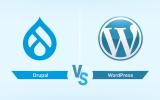 Drupal VS WordPress