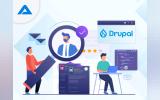 How To Hire A Great Drupal Developer - A Step By Step Guide