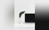 a laptop and a plant