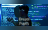 Drupal Pupils