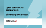 Open Source CMS Comparison: Silverstripe vs Drupal