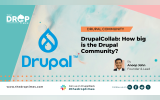 DrupalCollab: How big is the Drupal Community?