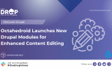 Octahedroid Launches New Drupal Modules for Enhanced Content Editing