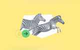 poster-zebra