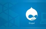 Elevating Web Experiences: The Top Drupal Modules for 2024