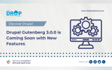 Drupal Gutenberg 3.0.0