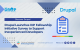 Drupal Launches IXP Fellowship Initiative Survey to Support Inexperienced Developers