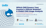 Which CMS Powers Your Country's Official Website? A Global CMS Usage Analysis