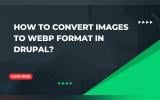 How to Convert Images to WebP Format in Drupal 10