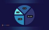 US Governemnt CMS share pie chart