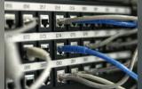 Data cables plugged into a server or load balancer