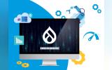 Why Drupal is the Ideal Choice for Custom Websites