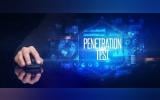Comprehensive Guide to Penetration Testing for WordPress and Drupal