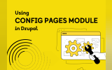 Using 'Config Pages Module' in Drupal